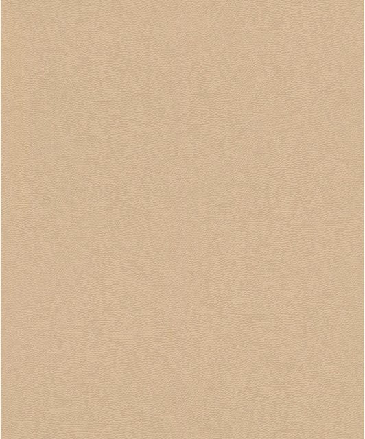 Rasch Vliestapete African Queen III Leder Genarbt Beige Breite: 0,53 m, Länge: 10,05 m - Bild 1