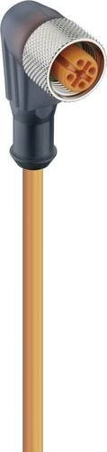 Lumberg Automation 11437-10 Sensor-Aktor-Steckverbinder M12 Buchse gewinkelt orange 4-polig 10 Meter - Bild 1