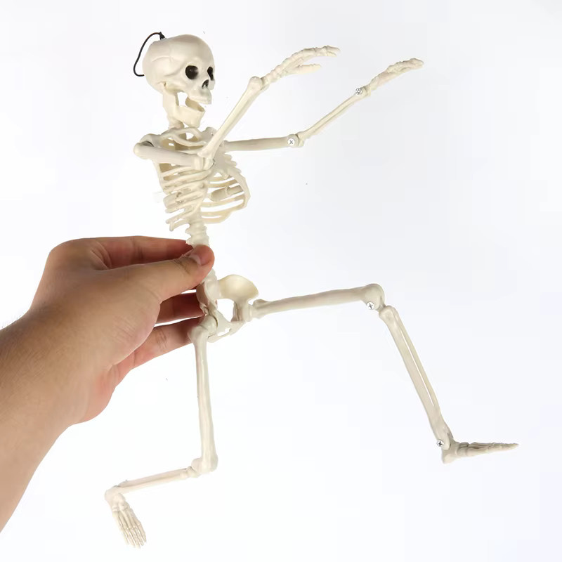 Joy-enlife Halloween Skelett Dekoration mit beweglichen Gelenken, weiß, Höhe: 40 cm - Bild 2