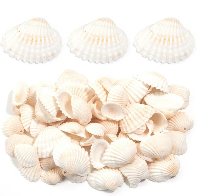 Weiße Muschelperlen, Perlen, Unisex - Bild 1