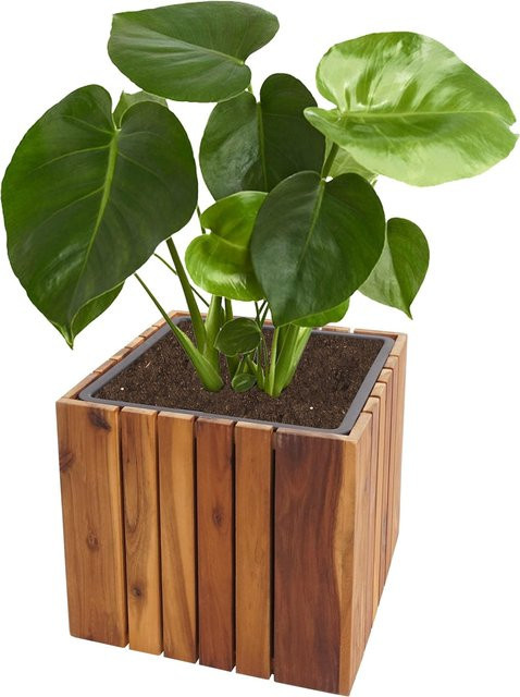 Eckiger Pflanzkasten MCW aus Akazienholz in Braun, B/T/H: 32 x 32 x 32 cm - Bild 1