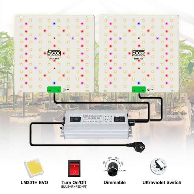 YXO YUXINOU 180 W Vollspektrum-LED-Wachstumslicht mit LM301H EVO und Sunlike Technologie für Hydrokultur und Gewächshaus, Weiß - Bild 1