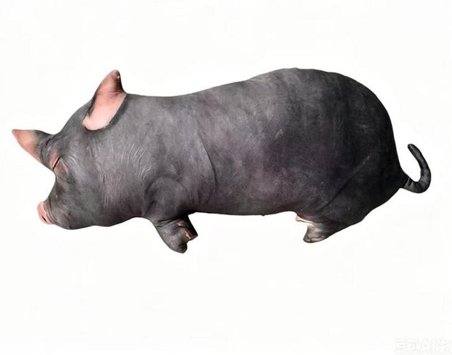 Yiran toy Schwein Plüschkissen, Schwarz & Rosa, 80cm - Bild 1