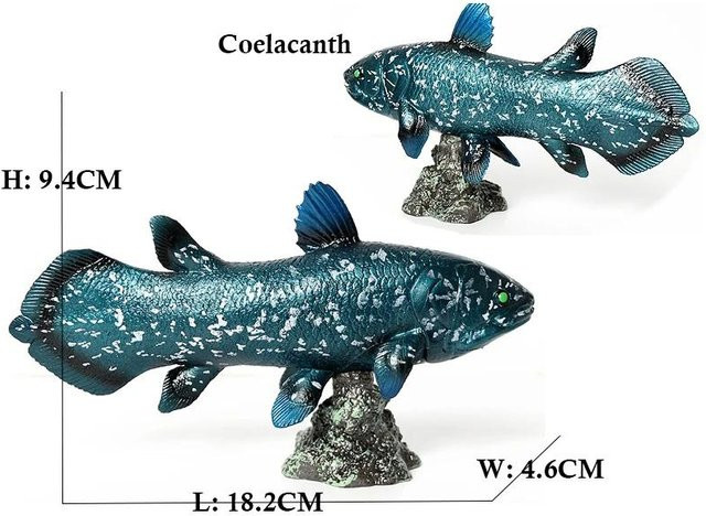 Arowana Pirarucu Quastenflosser Bichir Krokodilfisch, Modell Meerestier, Actionfiguren, ab 14 Jahre - Bild 1