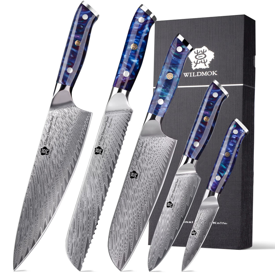 WILDMOK 5-teiliges professionelles Kochmesser-Set aus Damaskus VG10-Stahl in Blau mit ergonomischem Harzgriff und Geschenkbox - Bild 7
