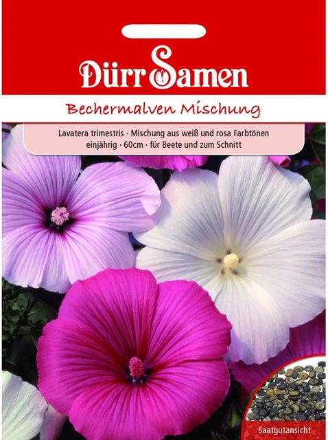 Dürr Bechermalve Saatgut Mischung Weiß und Rosa einjährig 100 g - Bild 1