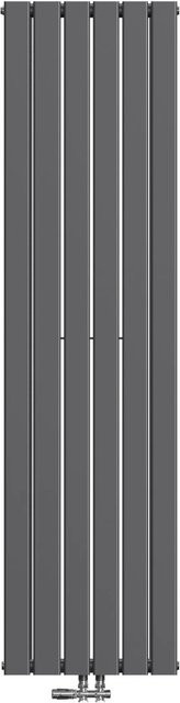 Emke Badheizkörper Vertikal Doppellagig Paneelheizkörper Anthrazit B: 46 cm, H: 180 cm, 1670W - Bild 1