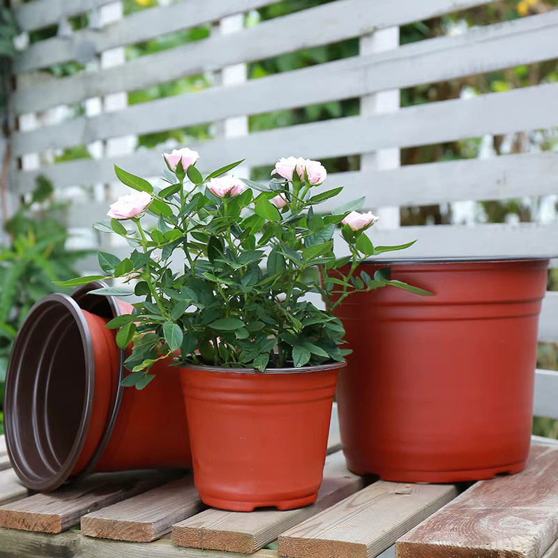 Flexible Anzuchttöpfe aus Kunststoff für Garten und Kindergarten, 50 oder 100 Stück, Pflanzgefäße für die Aussaat mit 9-14 cm Durchmesser - Bild 4