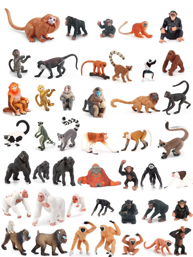 Realistische Dschungel Primattiere Schimpanse Mandrill Gibbons Indri Lemur Golden Monkey, Actionfigur, Lernspielzeug - Bild 4
