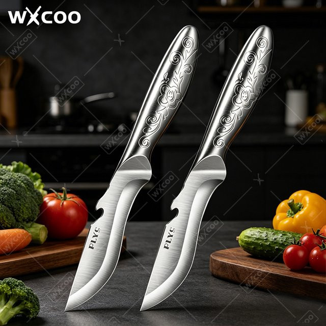 WXCOO 2-in-1 Multifunktionsmesser aus Edelstahl mit Flaschenöffner in Silber für Obst und Gemüse - Bild 1