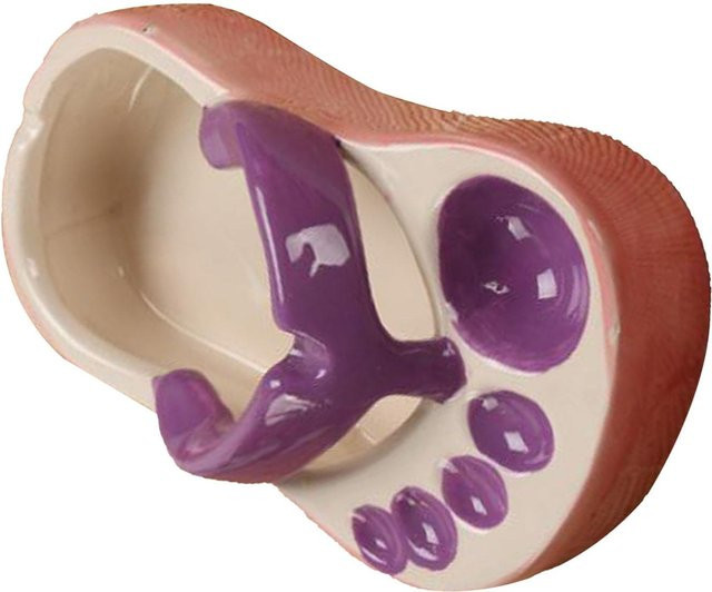 Niedrige Keramik-Snackschale von KaiSai in Form von Flip-Flops, violett - Bild 1