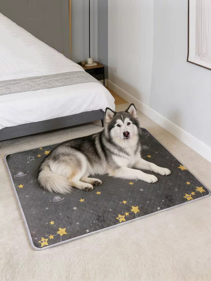 KEMORELA Hundetrainingsmatten Set, 2 Stück, waschbar und wiederverwendbar für Auto, Sofa und Outdoor - Bild 5