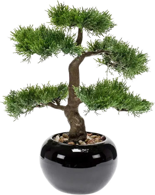 Aplanta Künstlicher Zeder Bonsai Miyu, Höhe: 32 cm - Bild 1