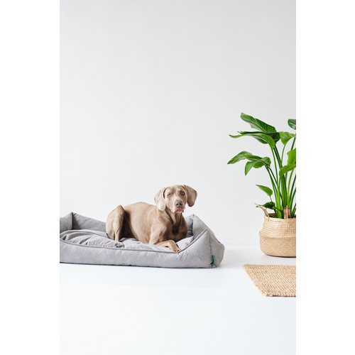 HUNTER Hunde-Sofa in Grau mit Textilbezug, Breite: 60 cm, Höhe: 24 cm, Länge: 80 cm - Bild 3