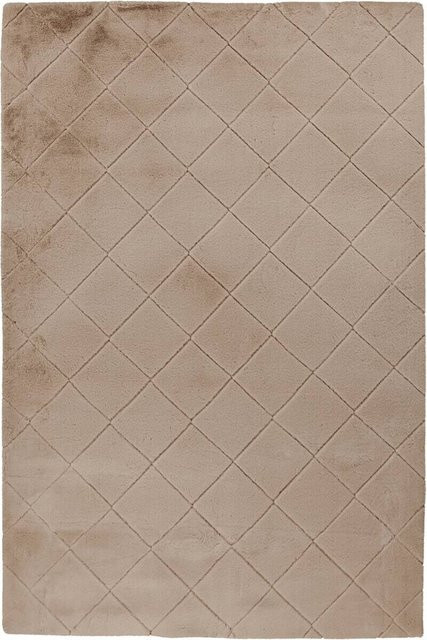 Padiro Hochflorteppich Imala 125 in Beige mit geprägtem Muster, B/H/T: 290 x 3 x 200 cm - Bild 1