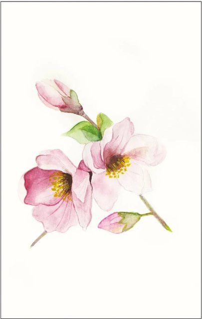 Komar Wandbild Magnolia Breathe, Poster aus Qualitätsvlies, Breite: 50 cm, Höhe: 70 cm - Bild 1