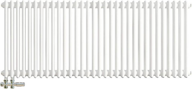 AICA Traditioneller 2 Spalten Heizkörper im Gusseisenstil, Weiß, B: 60 cm, H: 146 cm - Bild 1
