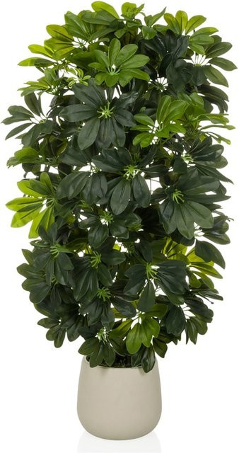 hjh OFFICE Kunstpflanze Schefflera in Grün aus Kunststoff und Eisen, Höhe: 135 cm - Bild 1
