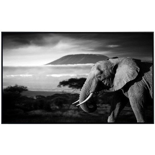 papermoon Infrarotheizung EcoHeat Elefant mit Landschaft in Bunt mit Matt-Effekt, App-Steuerung und Überhitzungsschutz - Bild 2