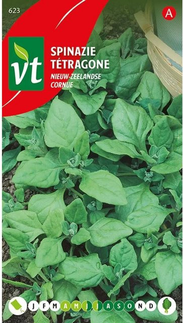 Arborix Spinat New Zealand Samen, 2 g - Bild 1