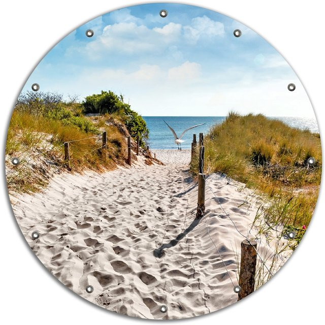 Wallario Gartenposter Möwen auf dem Weg zum Strand, Mehrfarbig, Breite: 60 cm, Höhe: 90 cm - Bild 1