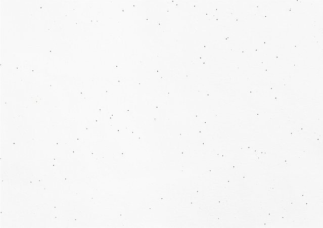 Rico Design Paper Poetry Bastelbogen aus weißem Baumwollpapier mit Basilikumsamen - Bild 1