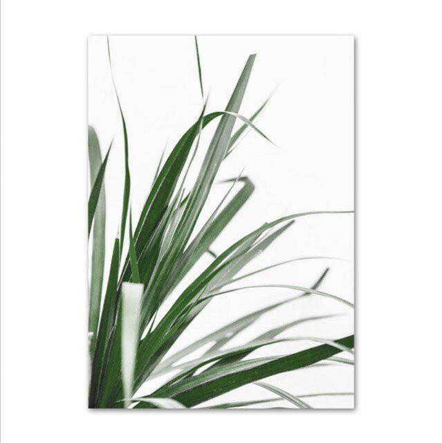TPFLiving Luxus Poster Leinwand Blumen und Blätter in Grün und Weiß, Motiv Botanik Illustration, B: 25 cm, H: 20 cm - Bild 1