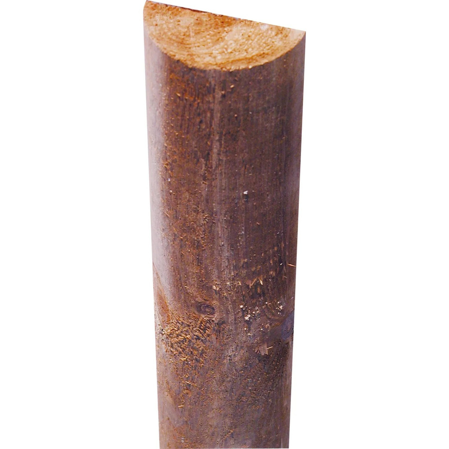 Tetzner und Jentzsch Querriegel aus Holz, Braun, Gefräst, Höhe: 7 cm, Länge: 250 cm - Bild 2