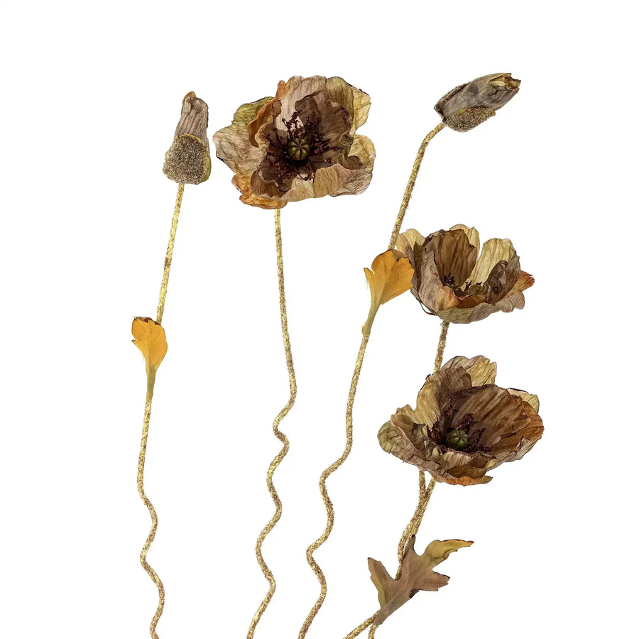 Bloomingville Poppy Deko-Blumen aus Stahl in Braun - Bild 1