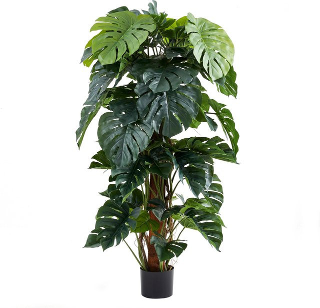 Künstlicher Split-Philodendron Zephira von Aplanta, Grün, Höhe: 160 cm - Bild 1