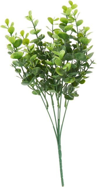 Künstlicher Eukalyptus Pick Mia in Grün - Bild 1