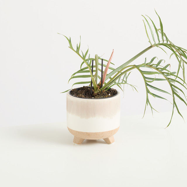 Keramik Übertopf BLUME2000 Natur Reaktiv in Sand, Weiß und Beige, Tischtopf, Höhe: 10,5 cm, Breite: 10,5 cm, Tiefe: 10,0 cm - Bild 1