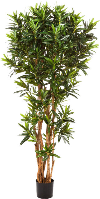 Künstlicher Croton Reflexa Kunstbaum von Aplanta, Höhe: 150 cm - Bild 1