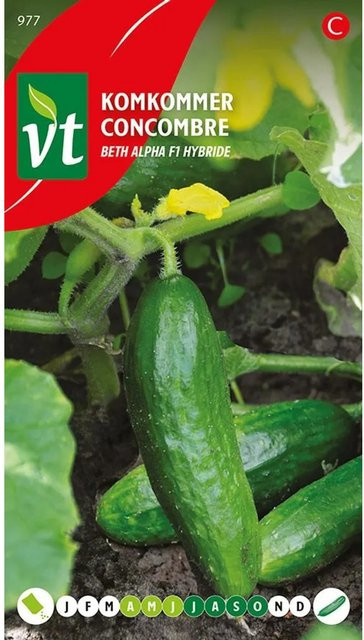 Salatgurke Mini Beth Alpha F1 Samen von arborix, 1 g - Bild 1
