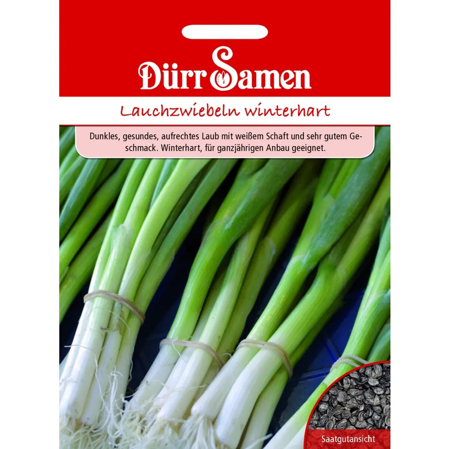 Dürr Lauchzwiebeln Saatgut winterhart 155 g - Bild 2