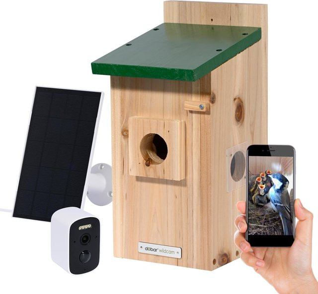 dobar Nistkasten EAZY Flachdach mit WiFi Kamera und Solar-Panel, Grün, B/T/H: 20 x 14 x 32 cm - Bild 1