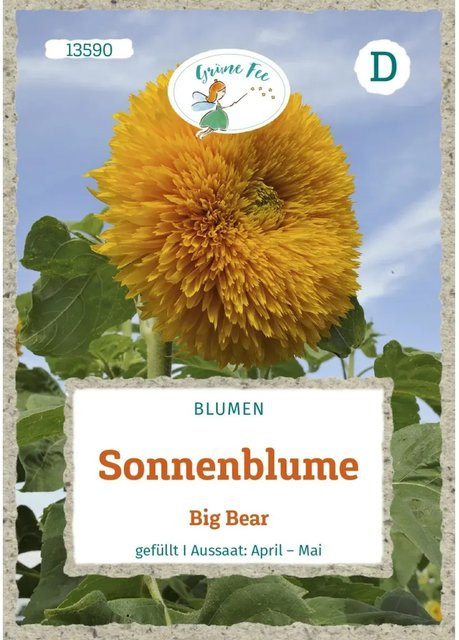 Grüne Fee Sonnenblume Big Bear Saatgut für den Frühling - Bild 1