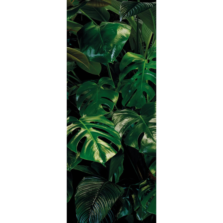Komar Fototapete Vlies Tropical Wall Panel, Farbe: Grün, B/H: 100 x 250 cm - Bild 2