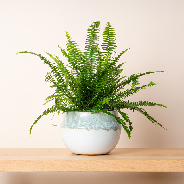Keramik Übertopf BLUME2000 mit reaktiver Glasur in Grün/Weiß, Höhe: 15,5 cm, Breite: 18,2 cm, Tiefe: 15,5 cm - Bild 1
