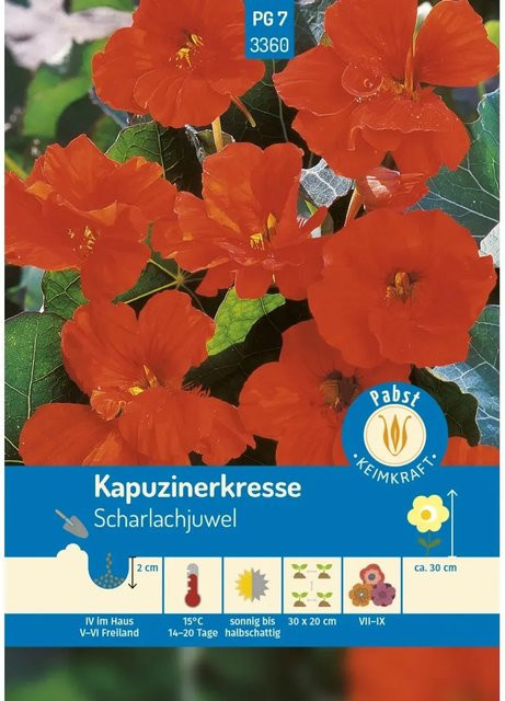 Pabst Keimkraft Kapuzinerkresse Scharlachjuwel Saatgut - Bild 1