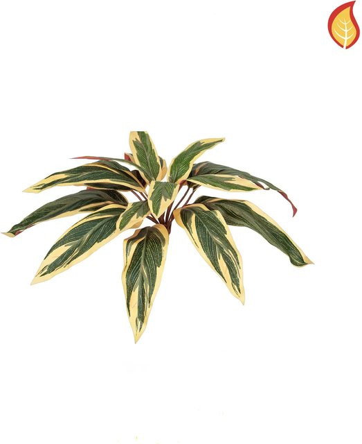 Künstliche Caladium Pflanze Erwin von Aplanta, grün, Höhe: 37 cm - Bild 1