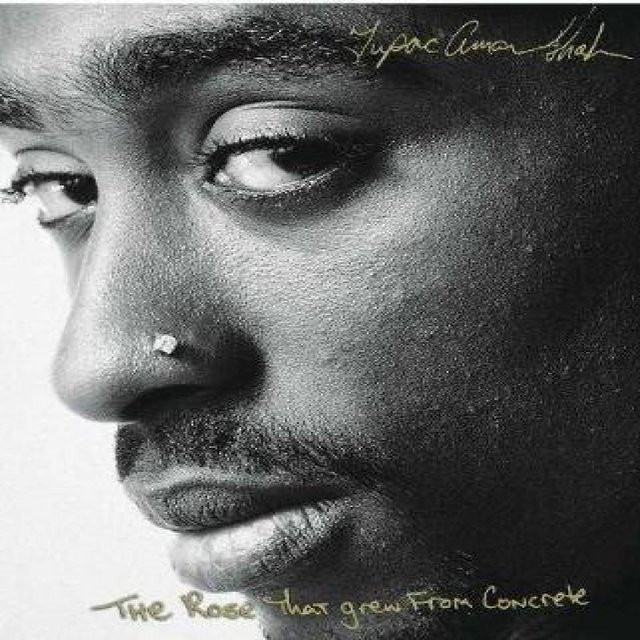 Die Rose, die aus Beton wuchs von Tupac Shakur, Taschenbuch - Bild 1