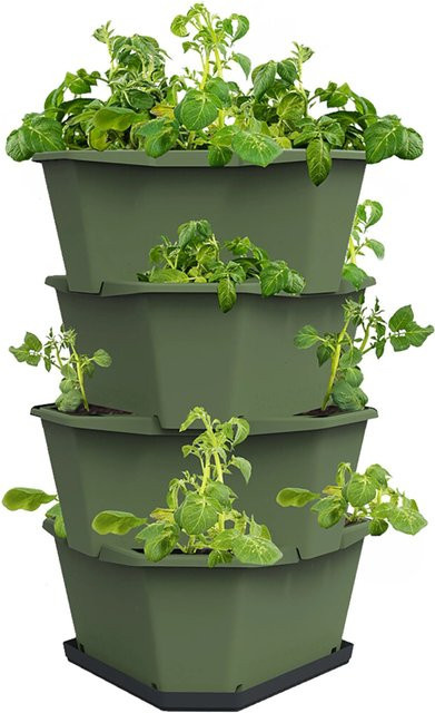 Gusta Garden Anzuchtsgefäß Paul Potato in Dunkelgrün für Kartoffeln, Kräuter und Salate, Volumen: 56 l - Bild 1
