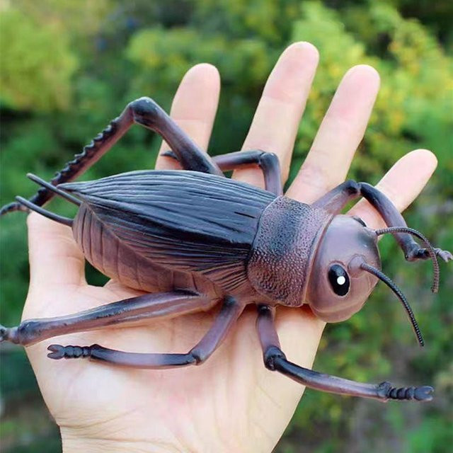 Linyi toy car Wildes Insekten-Tier-Modellset, Actionfiguren, Set / Bundle - Bild 1