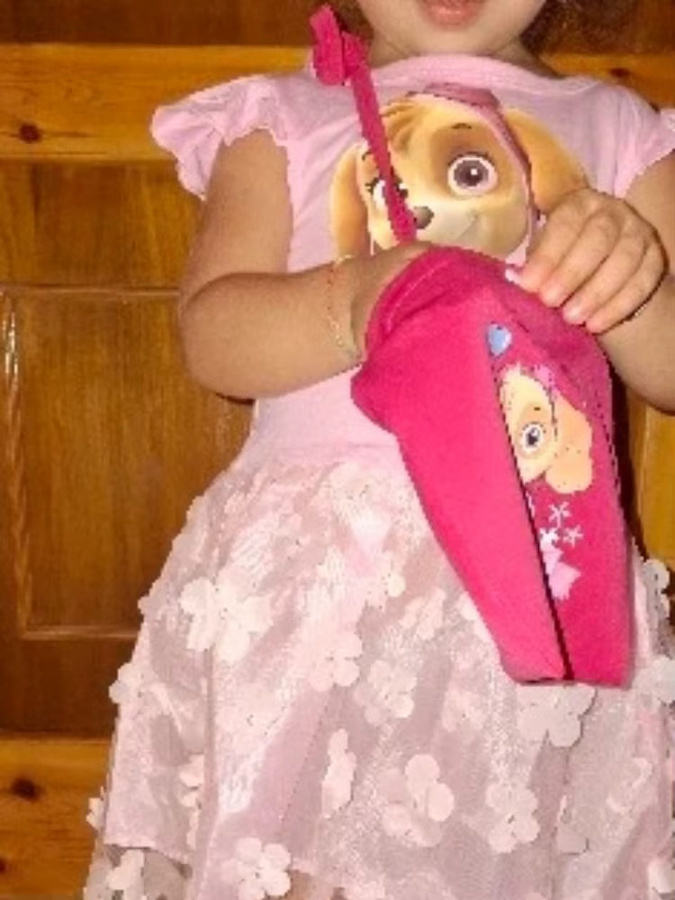 Paw Patrol Skye Prinzessinnenkleid, Cosplay-Kostüm, Mädchen - Bild 2