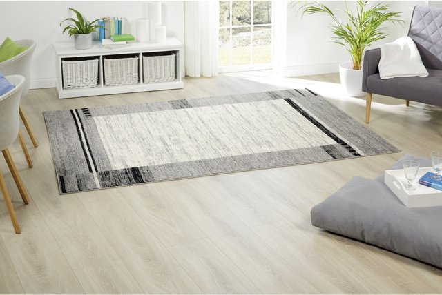 Peyer Syntex Cleo Teppich mit Bordüre in Silbergrau, B: 160 cm, L: 230 cm - Bild 1
