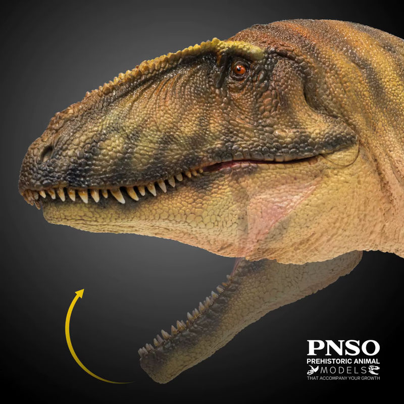 PNSO Carcharodontosaurus prähistorisches Dinosaurier-Modell in Mehrfarbig - Bild 4