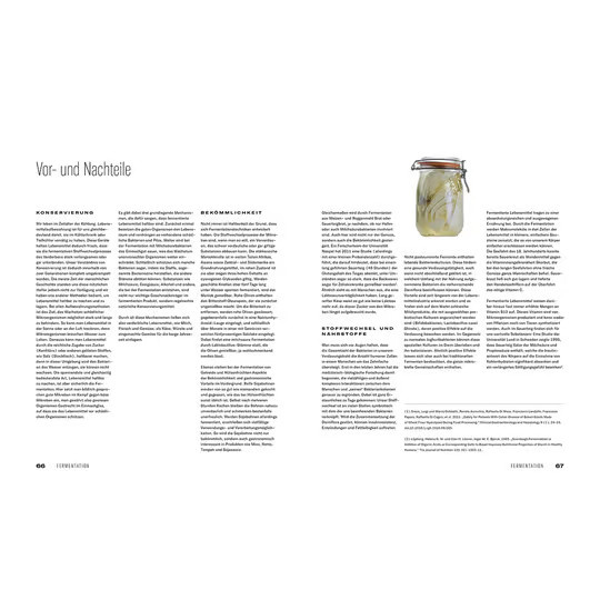 Fermentation von Heiko Antoniewicz, gebundene Ausgabe - Bild 2