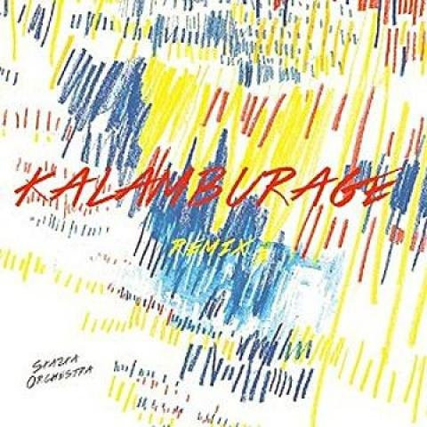 LP Schallplatte Skazka Orchestra - Kalamburge Remix (Acker 2015) Electronic Vinyl Multicolor - Bild 1