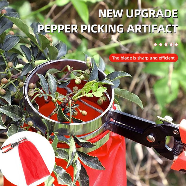 DTBD Obstpflücker Werkzeug aus Metall mit Korb Kopf für Sichuan Pfeffer und Gartenarbeit - Bild 1